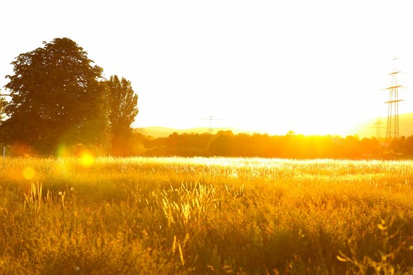 Réussir vos photos pendant l'heure bleue et la golden hour